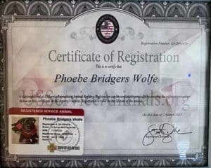 Phoebe's service dog sertificate